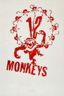 Twelve Monkeys movie poster