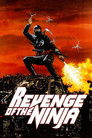 Revenge of the Ninja movie poster