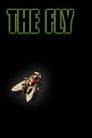 The Fly movie poster